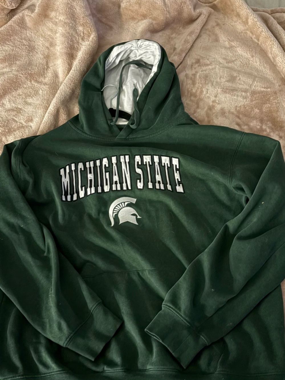 Vintage Michigan State Hoodie (FLAWED)